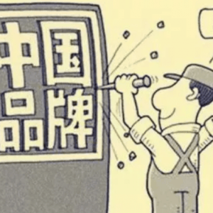 董明珠：质量二字关乎“两个生命”